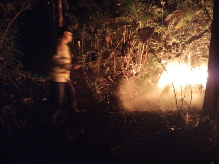 Respon Cepat Laporan Call Center 110, Polsek Kedunggalar Berhasil Padamkan Kebakaran Lahan di Ngawi