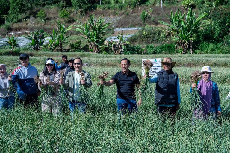 Satgas Pangan Polri Perkuat Swasembada Bawang Putih, Lahan Tanam di Sembalun Capai 534 Hektare