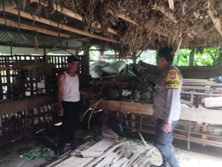 Bhabinkamtibmas Desa Wates Dampingi Peternak Kambing, Perkuat Ketahanan Pangan Melalui Sektor Peternakan