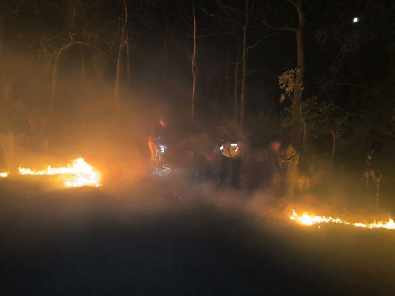 Gerak Cepat Polsek Sampung Bersama TNI dan Perhutani Padamkan Kebakaran Hutan di Desa Tulung