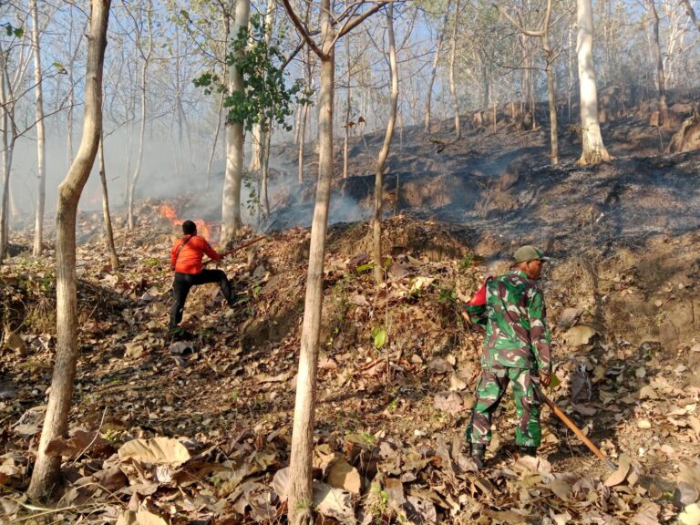 Sinergi TNI, Polri dan Unsur Terkait Atasi Kebakaran Hutan di Wilayah Ponorogo