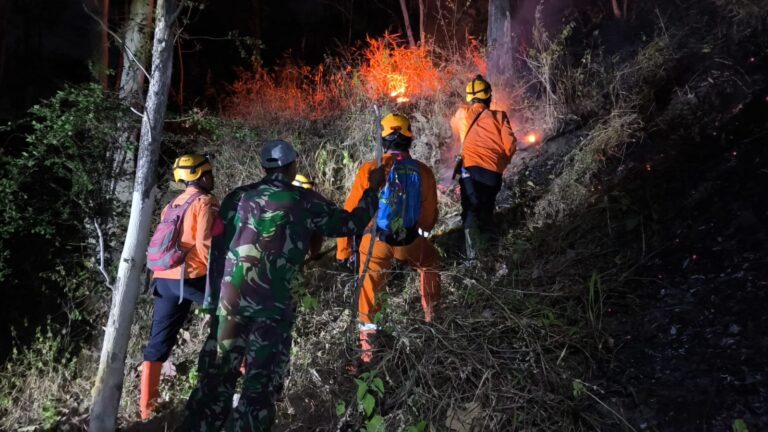Hutan di Wilayah Desa Binaan Terbakar, Babinsa Bersama Unsur Terkait Tanggap Atasi