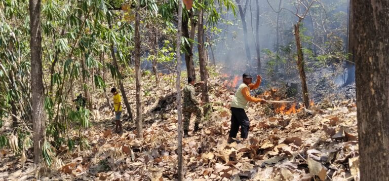 Babinsa Kodim Ponorogo dan Unsur Terkait Gerak Cepat Padamkan Kebakaran Hutan