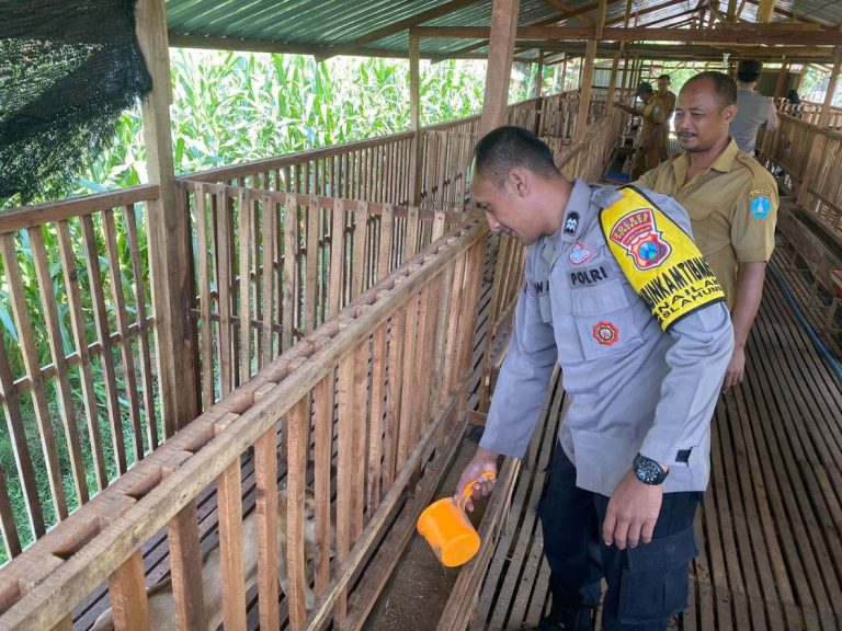 Bhabinkamtibmas Desa Nailan Sambangi Peternak Kambing, Wujudkan Ketahanan Pangan dan Kamtibmas Kondusif