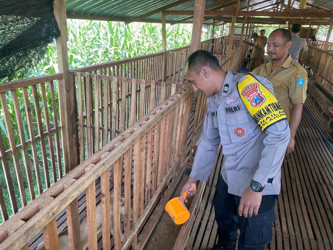 Bhabinkamtibmas Desa Nailan Sambangi Peternak Kambing, Wujudkan Ketahanan Pangan dan Kamtibmas Kondusif