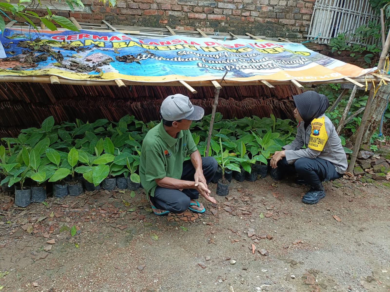 Bhabinkamtibmas Desa Siwalan Dorong Pengembangan Pembibitan Tanaman untuk Perkuat Ketahanan Pangan