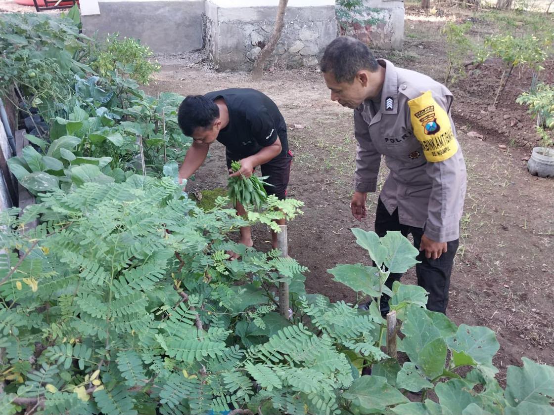 Bhabinkamtibmas Desa Ngumpul Tingkatkan Kedekatan dengan Warga melalui Pemanfaatan Pekarangan Pangan