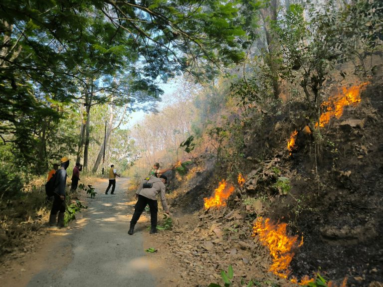 Gerak CepatSinergi TNI-Polri dan Perhutani Padamkan Karhutla, Api di Kawasan Hutan Berhasil Dikendalikan