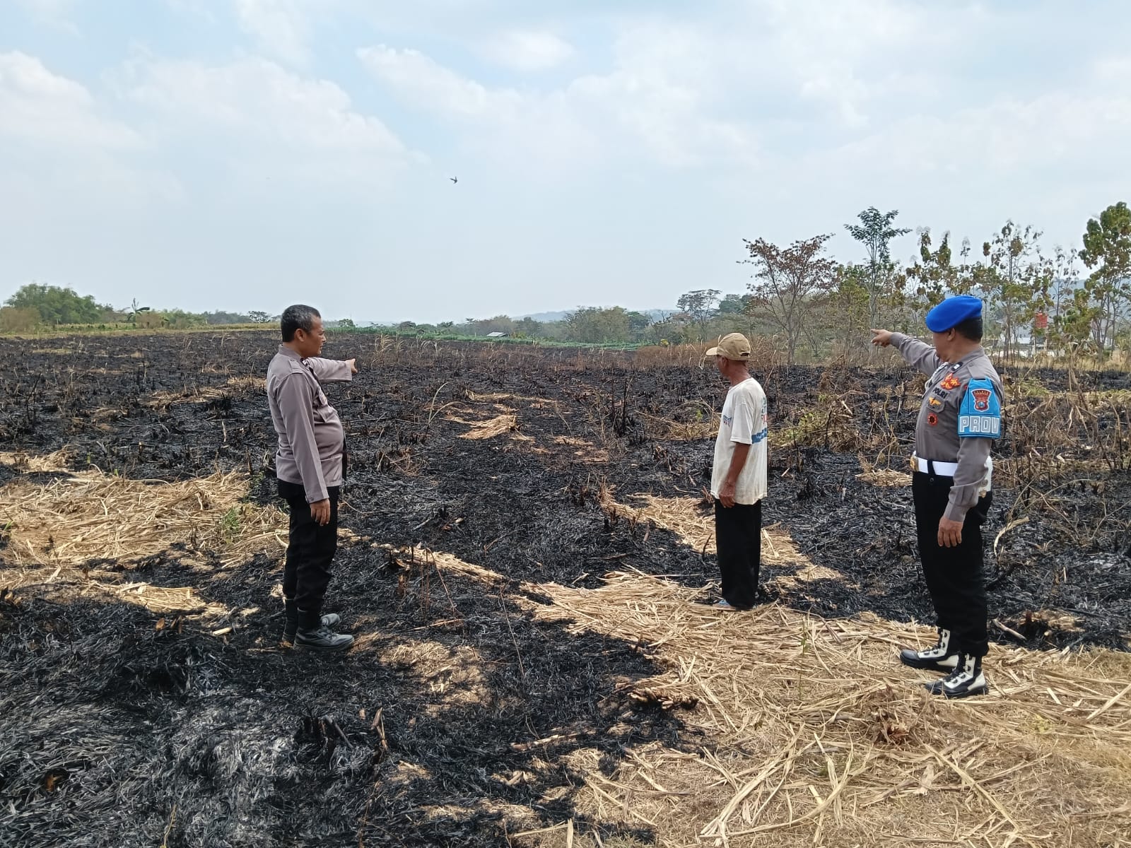 CEK KONDISI TERKINI PASCA KEBAKARAN LAHAN TEBU MILIK KAS DESA PLUNTURAN KECAMATAN PULUNG