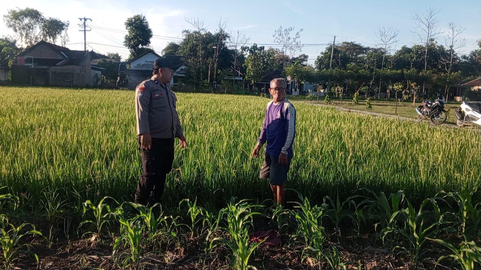 Bhabinkamtibmas Desa Ngumpul Ajak Warga Kelola Pekarangan Produktif Demi Mendukung Ketahanan Pangan