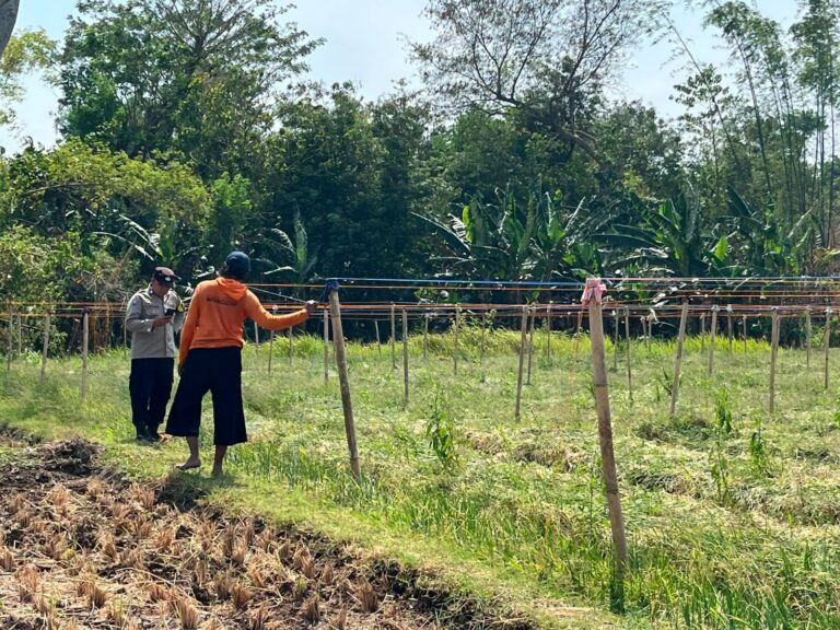 Bhabinkamtibmas Desa Joresan Dorong Warga Manfaatkan Potensi Pangan, Perkuat Ketahanan dan Kamtibmas