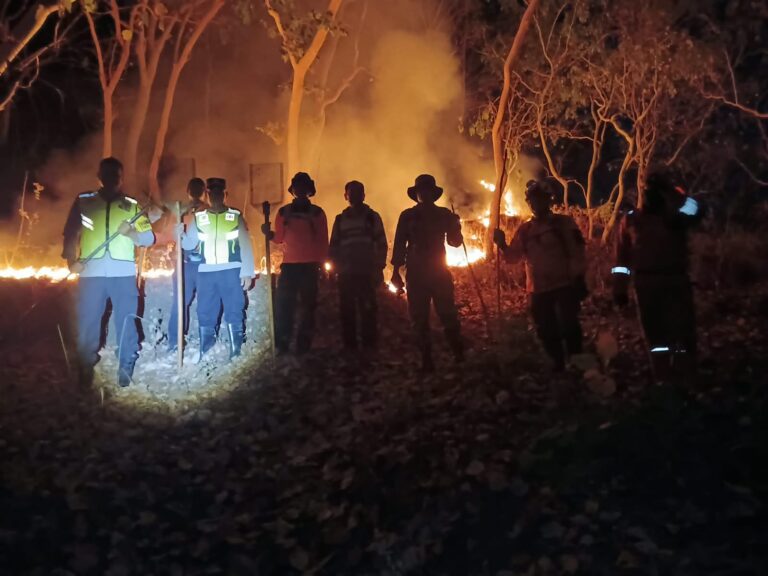 Kebakaran Hutan Perhutani di Slahung, Polisi dan Petugas Gabungan Bergerak Cepat Padamkan Api