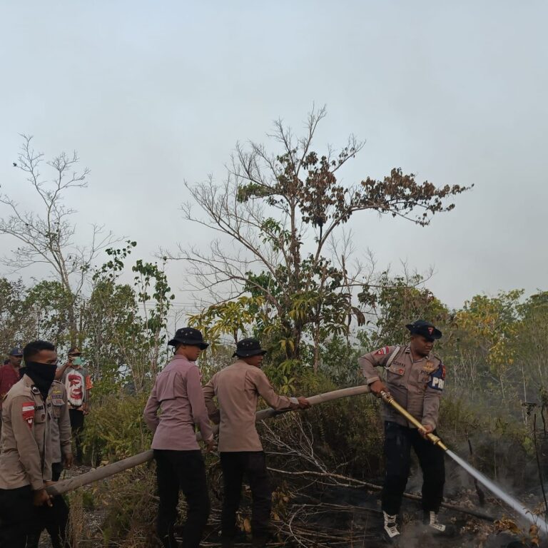 Penanganan Karhutla Hari Keenam, Brimob Kembali Turun Di Biak