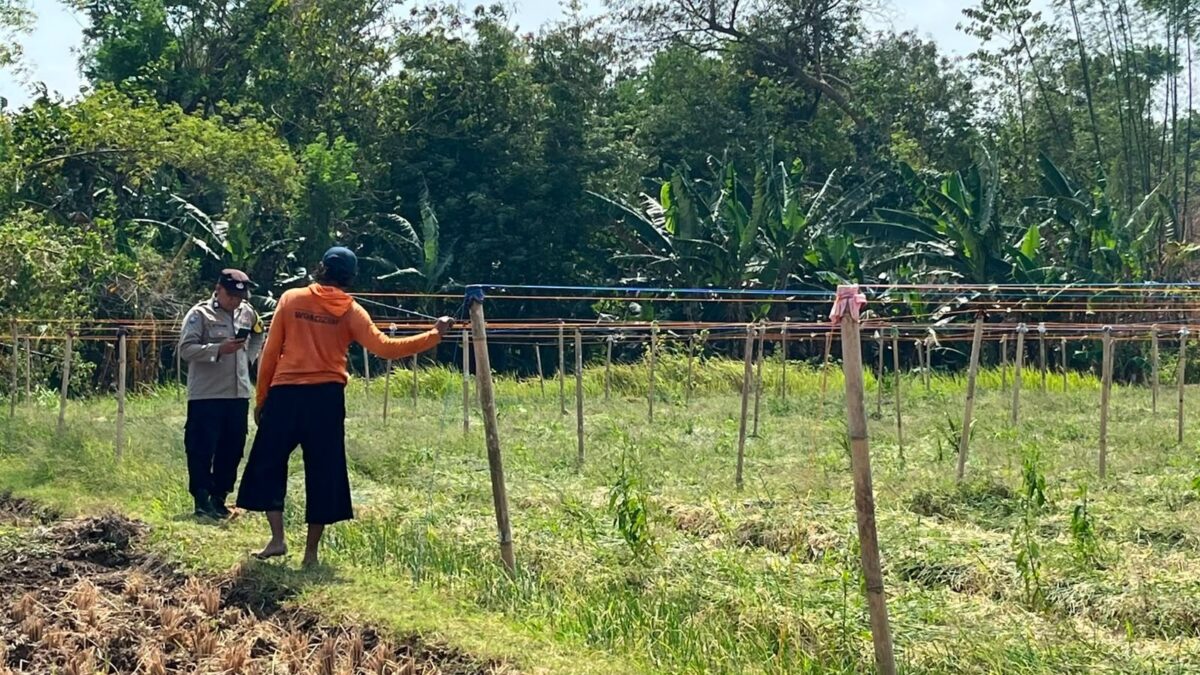Bhabinkamtibmas Joresan Dorong Warga Manfaatkan Potensi Pangan Lokal untuk Kemandirian Desa