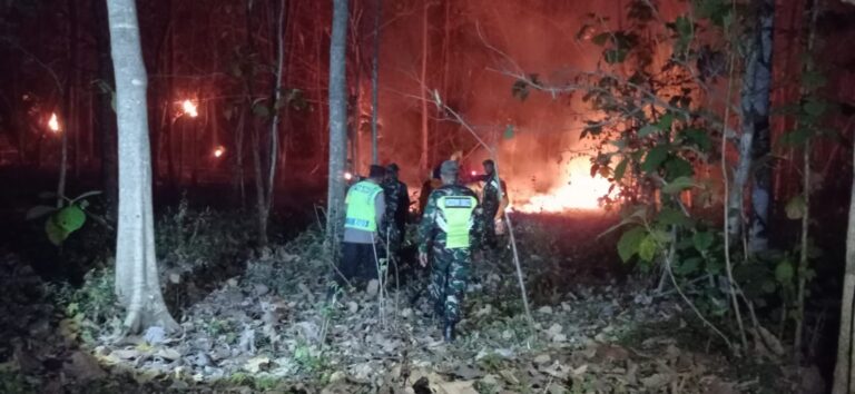 Gerak Cepat Babinsa Kodim Ponorogo dan Unsur Terkait Atasi Kebakaran di Pekarangan Warga