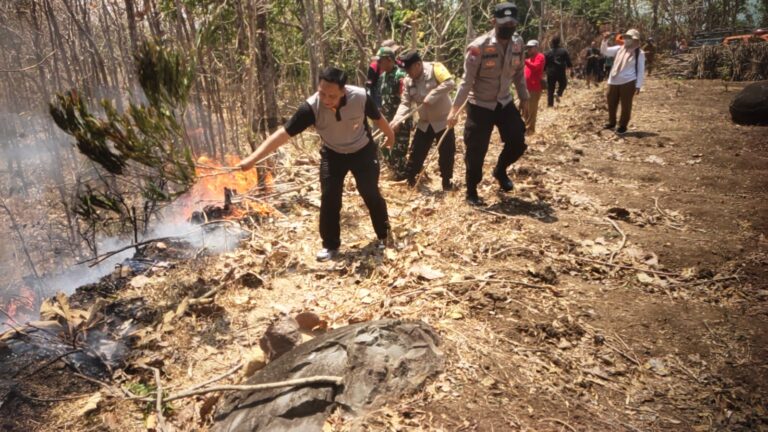 Ada Hutan Desa Binaan Terbakar, Babinsa Kodim Ponorogo Terjun Atasi