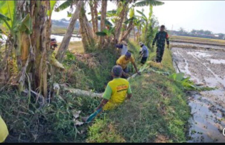Lancarkan Irigasi Pertanian, Babinsa Ponorogo Kerja Bakti Bersama Warga