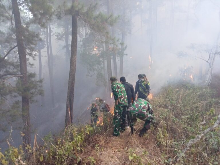 Terima Laporan Kebakaran, Anggota Kodim Ponorogo Respon Cepat