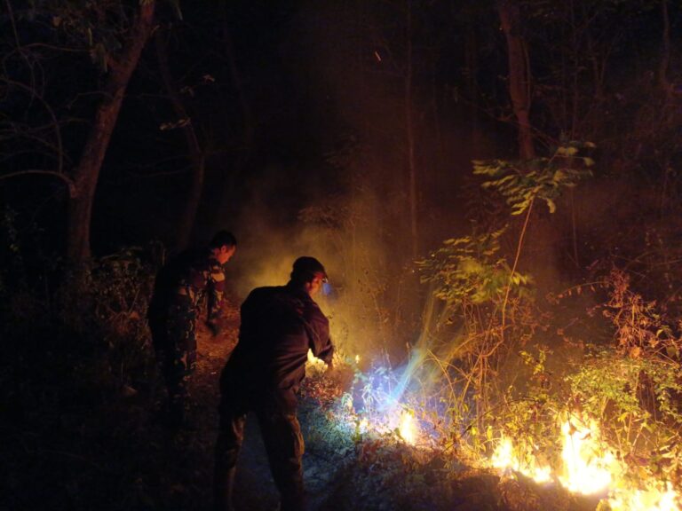 Karhutla Malam Hari, Babinsa Kodim Ponorogo dan Masyarakat Turun Padamkan Api