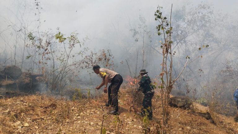 Hutan di Gunung Sadranan Kecamatan Slahung Terbakar, Babinsa Broto Bersama Komponen masyarakat Sigap Padamkan Api