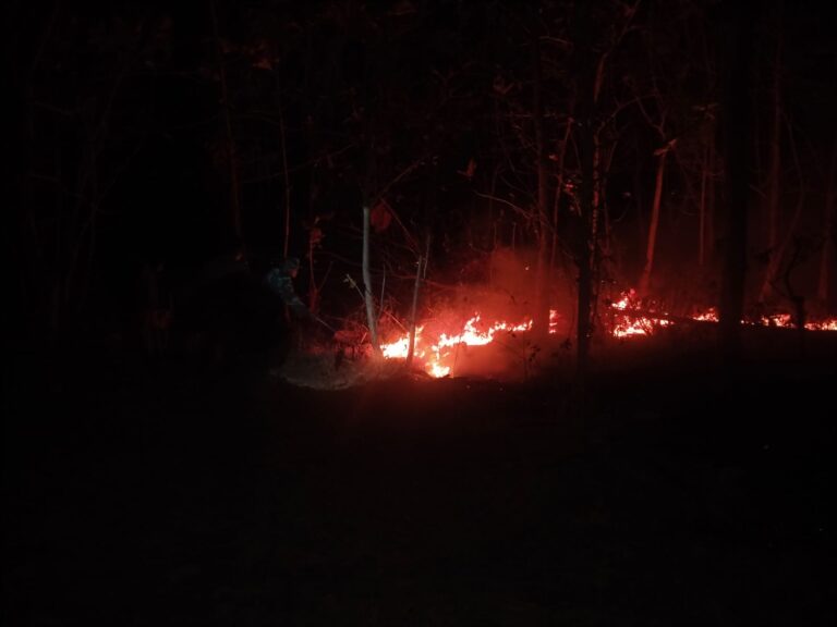 Satu Jam Lamanya Babinsa Bersama Warga Desa Paringan Berjibaku Padamkan Kebakaran Lahan