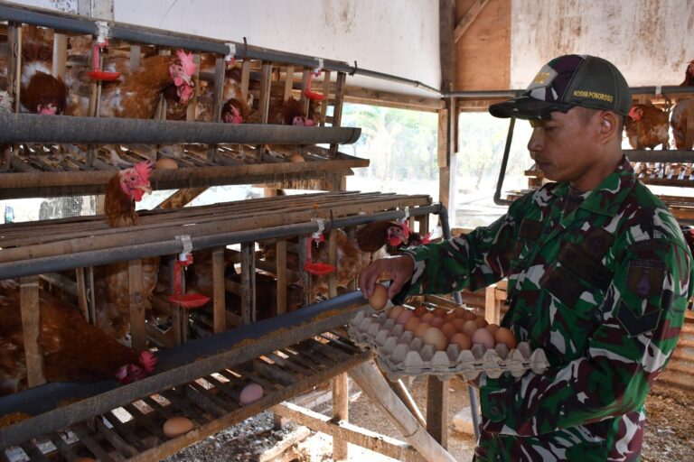 Kompi Produksi, Upaya Kodim Ponorogo Perkuat Ketahahan wilayah Melaui Sektor Pangan
