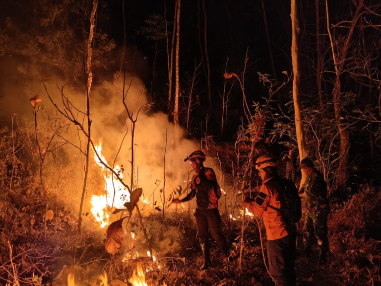 Gerak Cepat Babinsa Kodim Ponorogo Bersama Unsur Terkait Atasi Karhutla