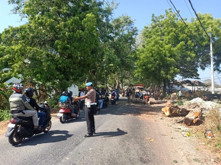 Respons Cepat Polres Ponorogo, Pohon Keropos Viral di Medsos Langsung Dievakuasi
