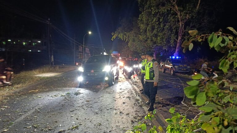 Pohon Galam Tumbang Tutup Jalur Ponorogo–Madiun, Polisi dan Tim Gabungan Bergerak Cepat