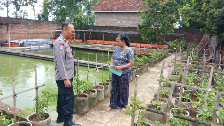 Bhabinkamtibmas Ngasinan Pantau Kebun Cabai, Dukung Produktivitas dan Ketahanan Pangan Warga