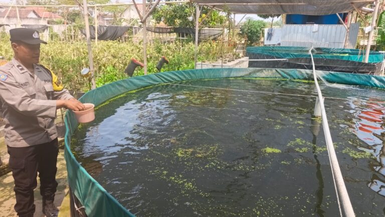 Bhabinkamtibmas Desa Pintu Sambangi Kolam Gurame, Dorong Warga Kembangkan Usaha Perikanan
