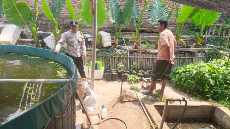 Bhabinkamtibmas Desa Pintu Pantau Kolam Nila, Dukung Pengembangan Potensi Warga