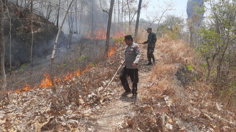 Polisi dan Petugas Gabungan Bergerak Cepat, Kebakaran Semak Hutan di Sampung Berhasil Dipadamkan