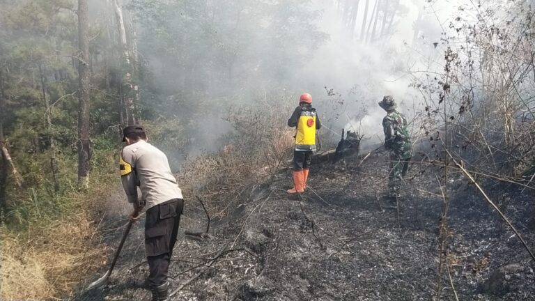 Polres Ngawi dan Tim Gabungan Jinakan Api di Gunung Botak, Medan Berat Jadi Tantangan