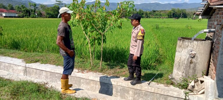 Bhabinkamtibmas Kambeng Pantau Pertanian Padi, Dukung Produktivitas Petani