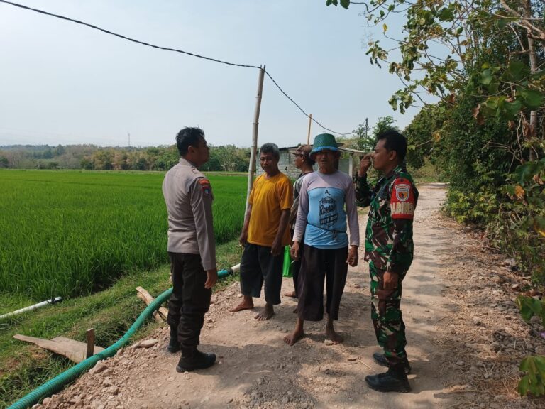 Bhabinkamtibmas Plalangan Pantau Tanaman Padi, Dukung Petani Jaga Produktivitas Sawah