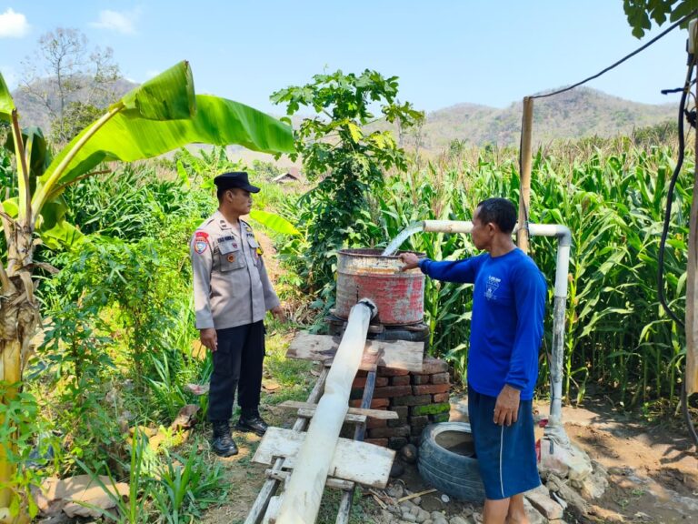 Bhabinkamtibmas Bringinan Pantau Tanaman Jagung, Dukung Petani Jaga Produktivitas Lahan