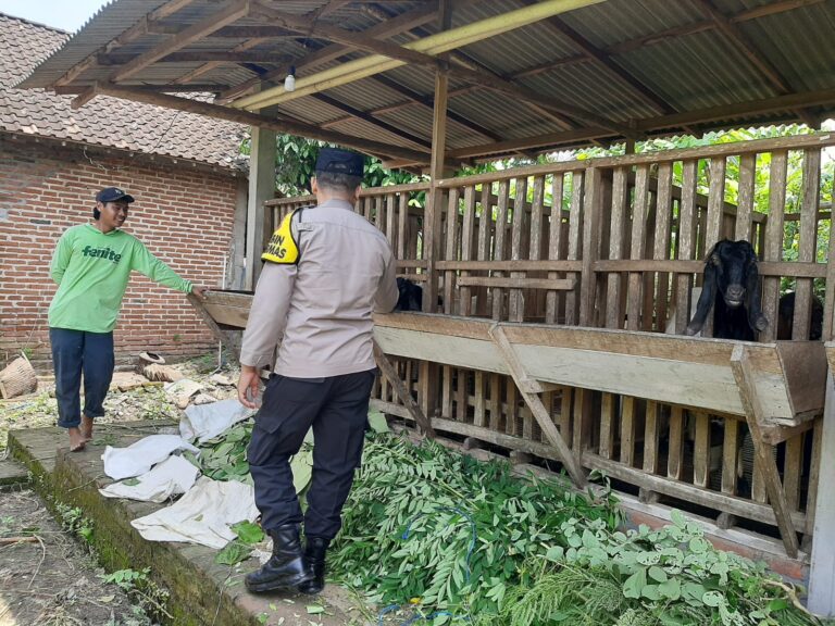 Bhabinkamtibmas Grogol Sambangi Peternak Kambing, Dorong Usaha Ternak Tetap Produktif