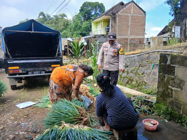 Bhabinkamtibmas Talun Jalin Kedekatan dengan Petani, Kawal Budidaya Padi