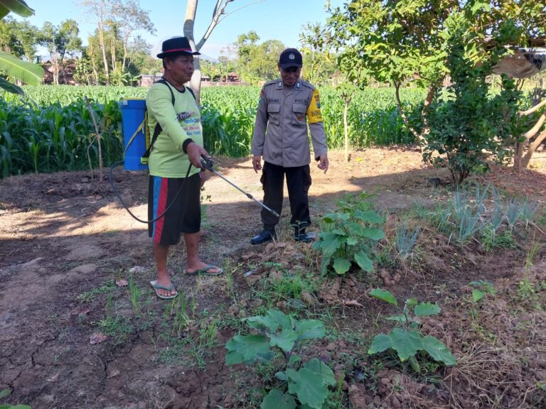 Bhabinkamtibmas Pudak Kulon Sambangi Petani Bawang Merah, Dukung Pertanian Produktif