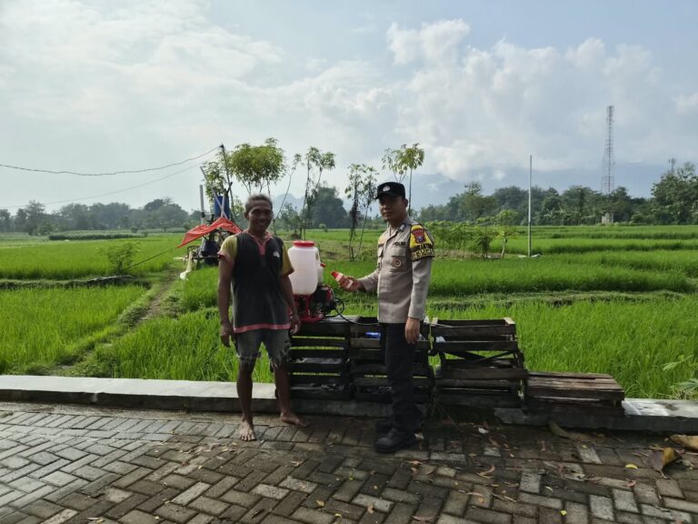 Bhabinkamtibmas Kupuk Pantau Lahan Padi, Dukung Petani Jaga Produktivitas Pertanian