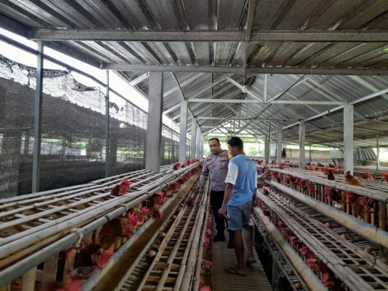 Bhabinkamtibmas Wagirkidul Sambangi Peternak Ayam, Dukung Usaha Produktif Warga