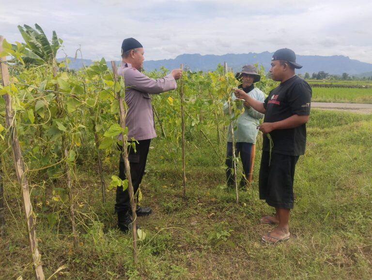 Bhabinkamtibmas Suren Sambangi Petani Kacang Panjang, Dukung Pertanian Produktif