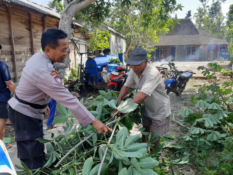 Sambangi Petani Singkong, Bhabinkamtibmas Karangpatihan Dorong Penguatan Ekonomi dan Ketahanan Pangan