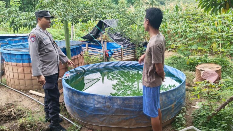 Budidaya Lele Jadi Peluang Usaha Warga, Bhabinkamtibmas Pangkal Dorong Ketahanan Pangan