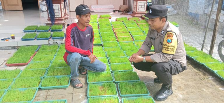 Bhabinkamtibmas Desa Broto Sambangi Petani, Dukung Pembibitan Padi untuk Ketahanan Pangan