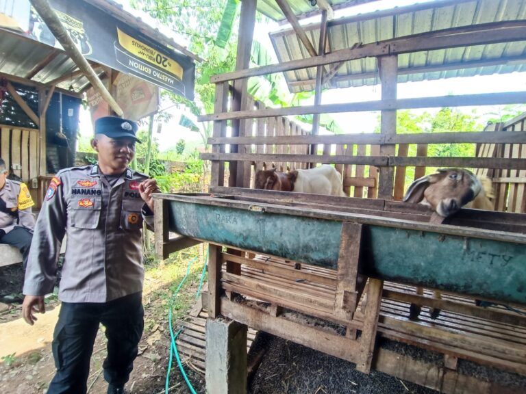 Jalin Kedekatan dengan Peternak, Bhabinkamtibmas Ngampel Dorong Usaha Kambing yang Produktif dan Berkelanjutan