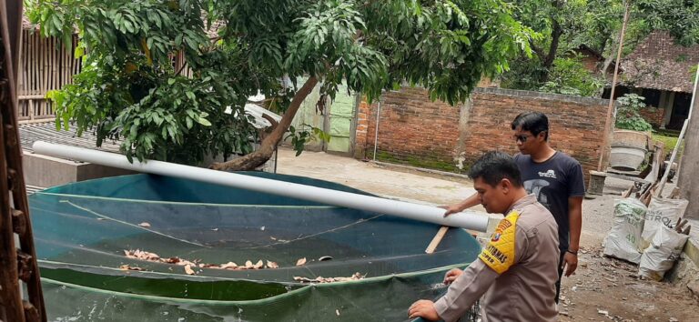 Kembangkan Potensi Perikanan Warga, Bhabinkamtibmas Coper Dorong Budidaya Lele yang Produktif