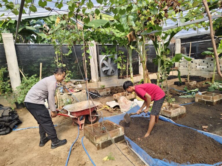 Potensi Buah Anggur Jadi Peluang Usaha, Bhabinkamtibmas Mojorejo Dorong Pertanian Produktif