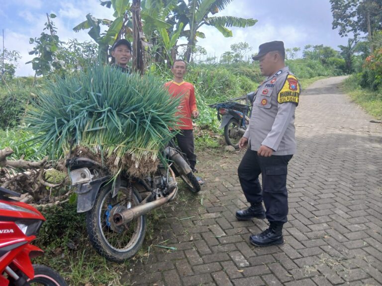 Bhabinkamtibmas Desa Pudak Sambangi Petani Daun Bawang, Perkuat Ketahanan Pangan dan Ekonomi Warga